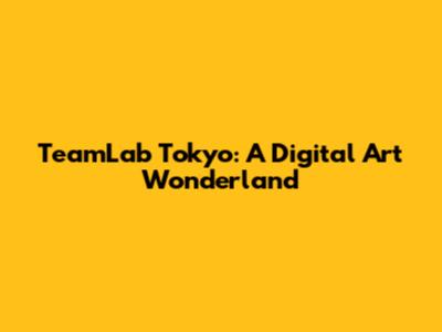 TeamLab Tokyo: A Digital Art Wonderland